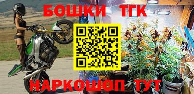 прущие крисы Кимры