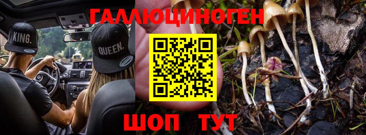 Галлюциногенные грибы прущие грибы  Галлюциногенные грибы Psilocybe  Вход с VPN  Аксай 